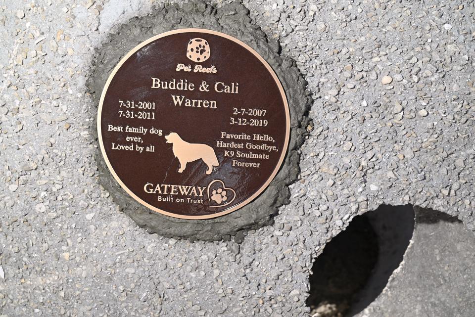 The marker for Buddie and Cali Warren, dogs that were included in what is typically a solo memorial reef ball. This memorial was among those deployed Jan. 18 along with other reef balls that comprise the first Memorial Pet Reef in the world.