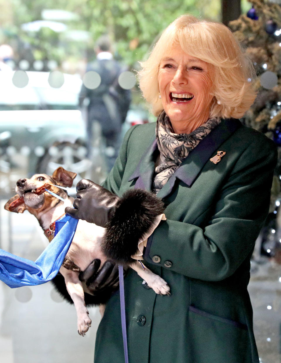 WINDSOR, ENGLAND - DECEMBER 09: Camilla, Duchess of Cornwall with Beth, her jack-russell terrier, unveiling a plaque as they visit the Battersea Dogs and Cats Home to open the new kennels and thank the centre's staff and supporters on December 9, 2020 in Windsor, United Kingdom. (Photo by Steve Parsons - WPA Pool/Getty Images)