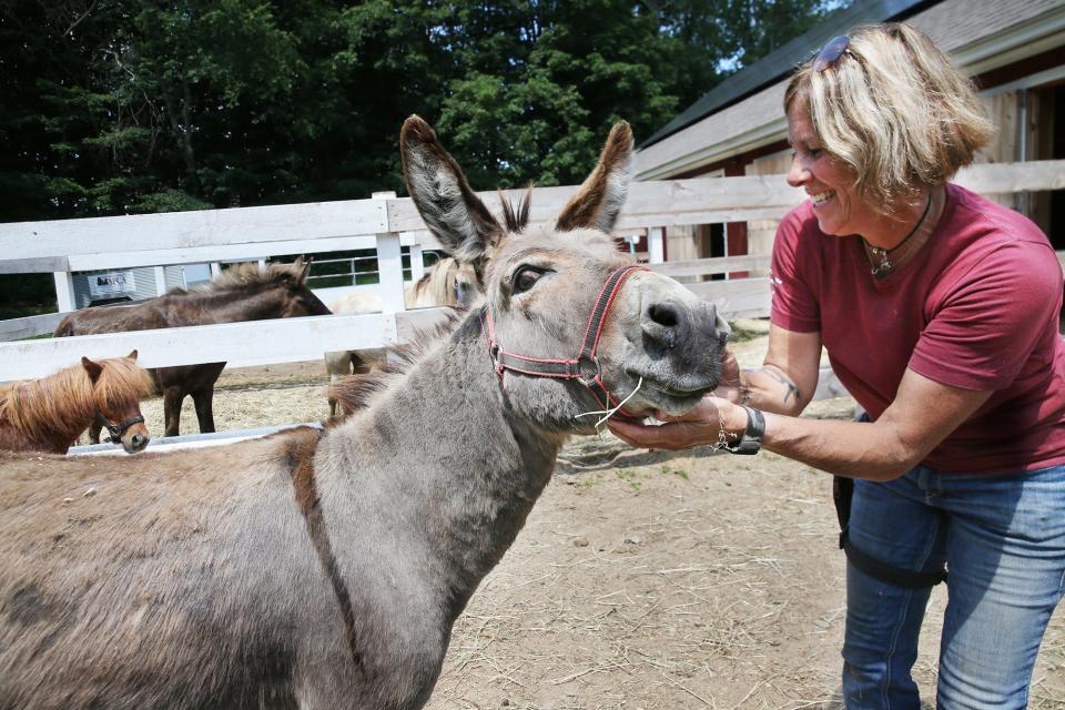 Michelle Murch, equine and farm program manager at the NHSPCA, works with a donkey she named Mikey.