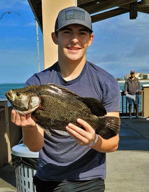 Kade Wireman of Lafayette, Ohio, caught this 8-pound tripletail on a live shrimp while fishing at Big Pier 60 on Monday.