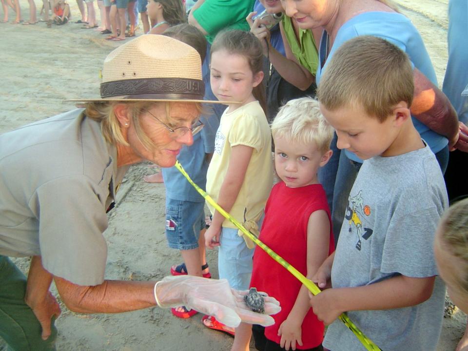 The average size of a sea turtle hatchling can be seen in this ranger's hand.