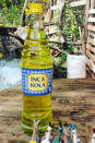 Als Golden Kola ist die Inca Kola vor allem in Peru bekannt. Hier wurde sie 1935 entwickelt. Geschmacklich soll das Erfrischungsgetränk an einen flüssigen Kaugummi erinnern, so süß ist es. Mittlerweile wird Inca Kola sogar von Gourmets in der Küche verwendet. (Bild-Copyright: inca_kola/Instagram)