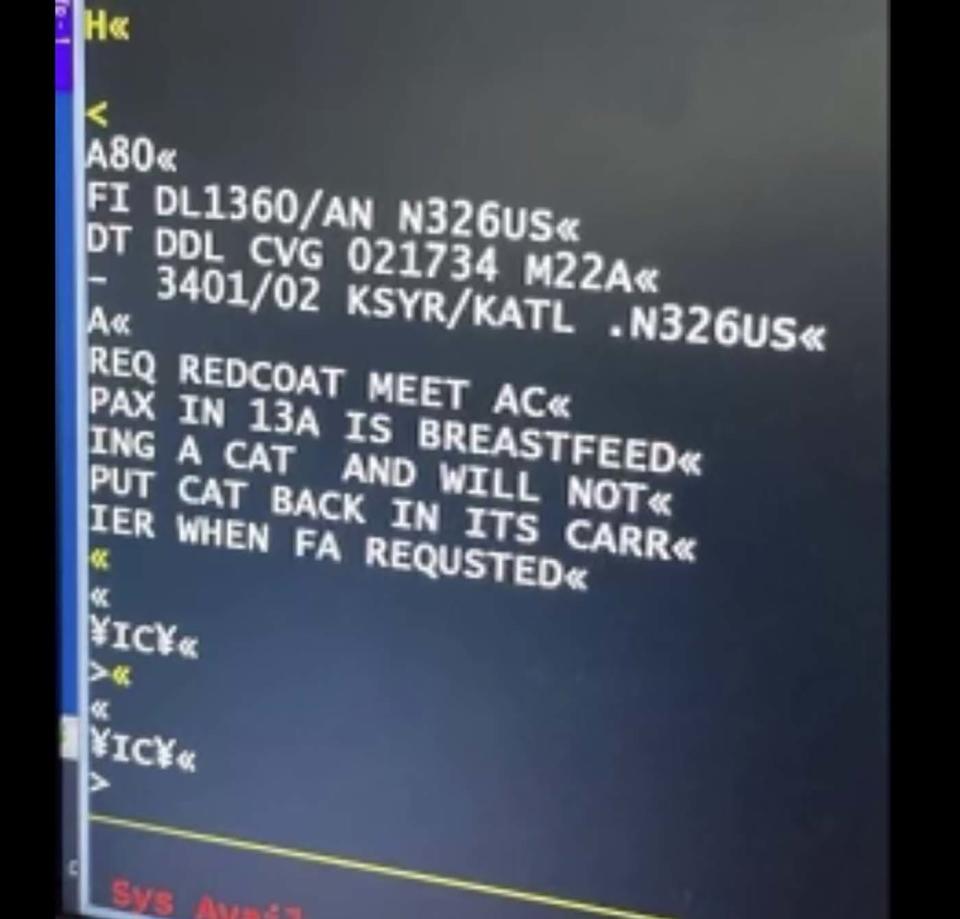 An Aircraft Communications Addressing and Reporting System message complains fo a woman breast feeding a cat on a flight.