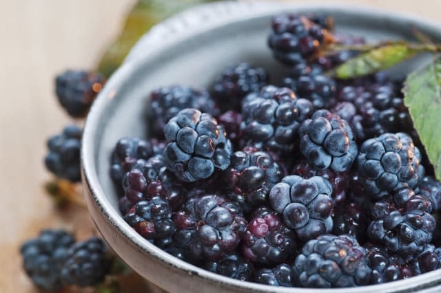 Blackberries in bowl