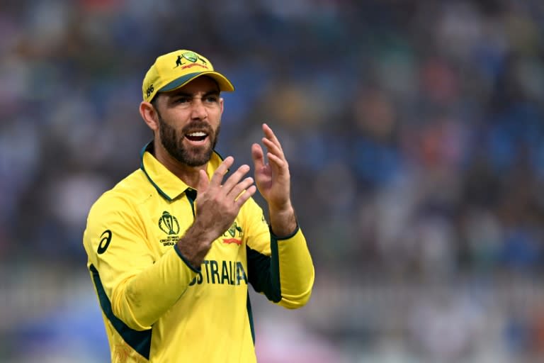 Allrounder Glenn Maxwell is under investigation by Cricket Australia over an incident in Adelaide last weekend (Arun SANKAR)