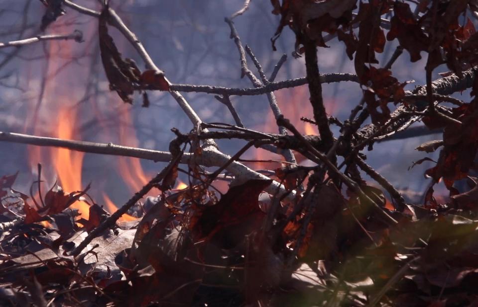 The New Jersey Forest Fire Service battled a major wildfire deep within Wharton State Forest on July 5, 2024.