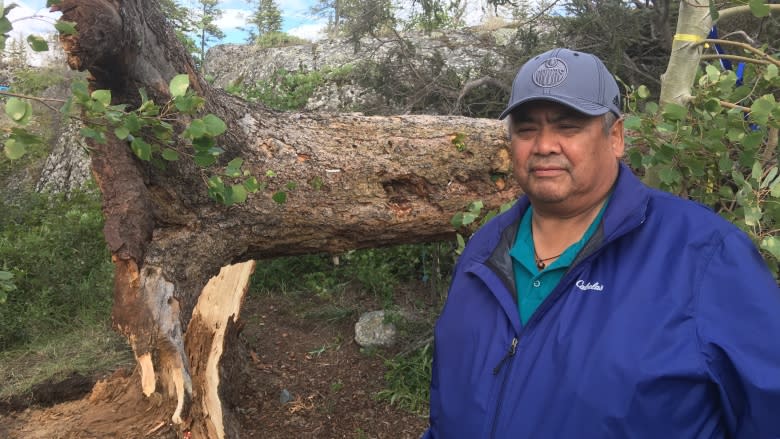 Yellowknives Dene weigh options for future of fallen, sacred tree