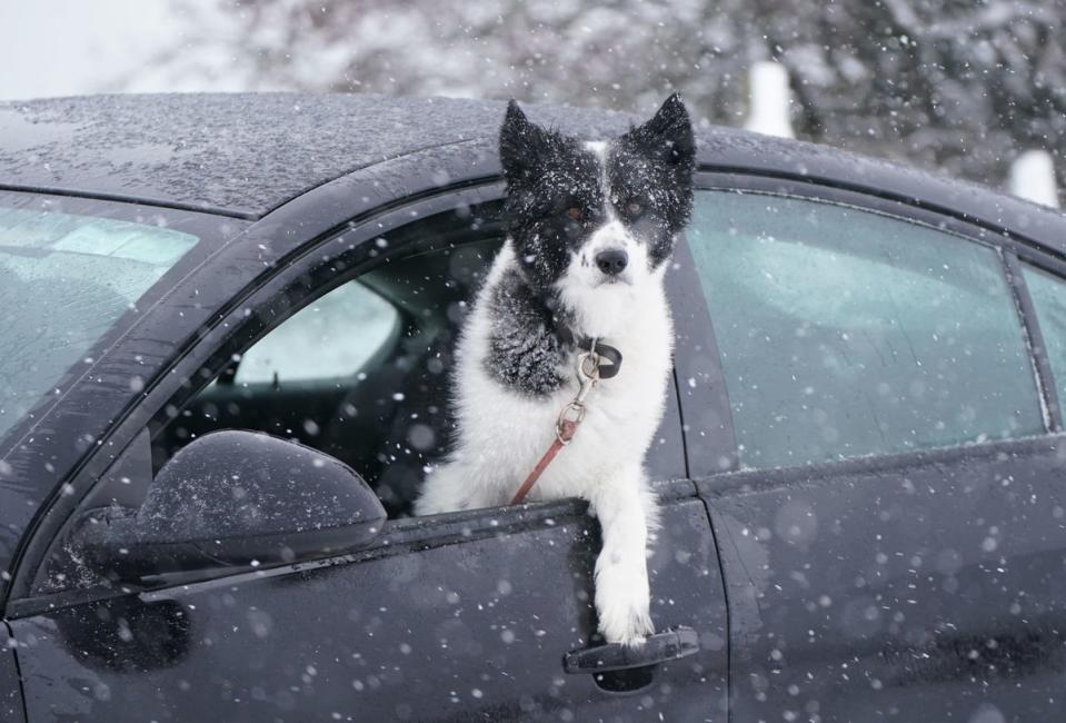 A dog looks out of a car window at the wintry conditions in Killeshin, Co. Laois, Ireland (PA)