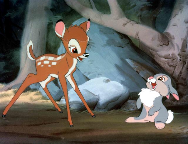 5 Disney Live-Action Remakes That We Fell in Love With