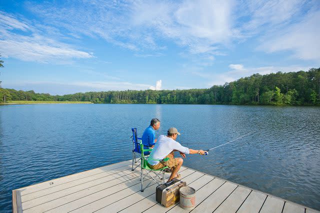 <p>Courtesy of George State Parks</p>