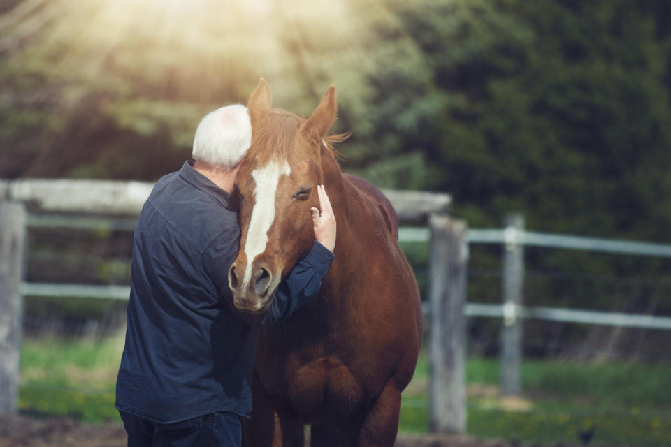 A man hugging a horse