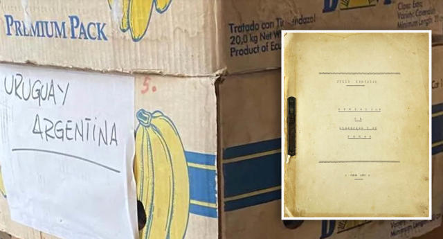 Rare find in banana box sells for $67k at auction