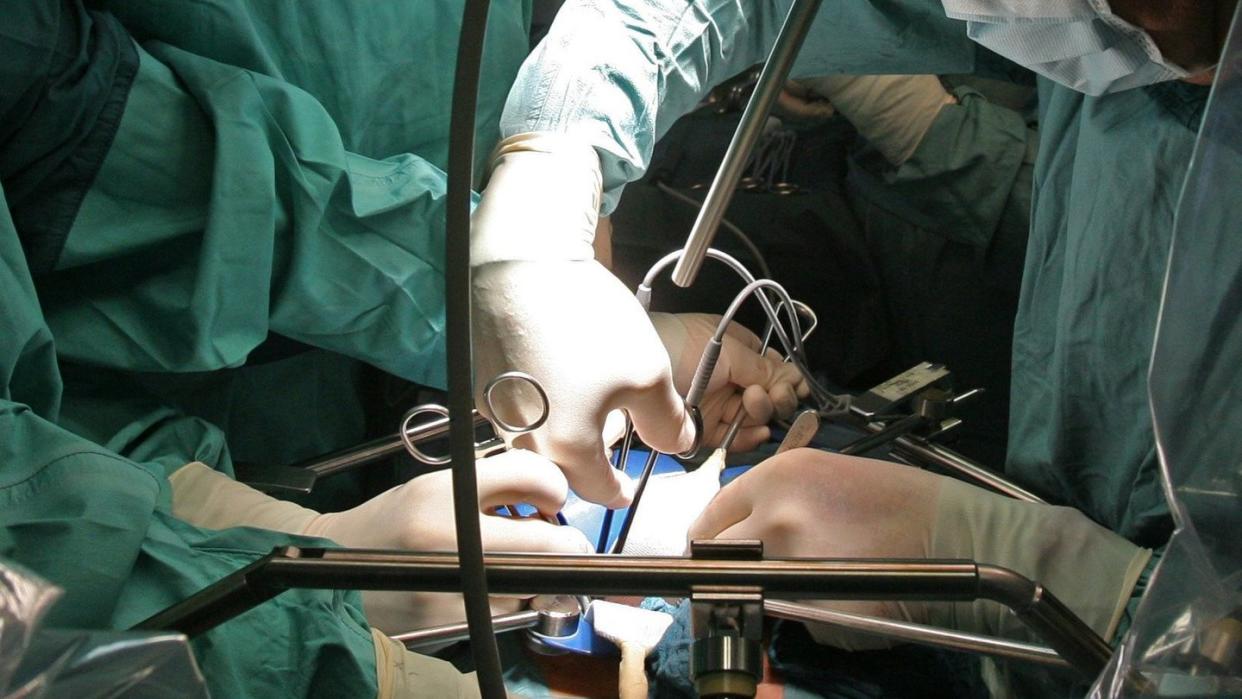 Einem Spender wird in einer Operation eine Niere entnommen. Foto: Jan-Peter Kasper/Symbol