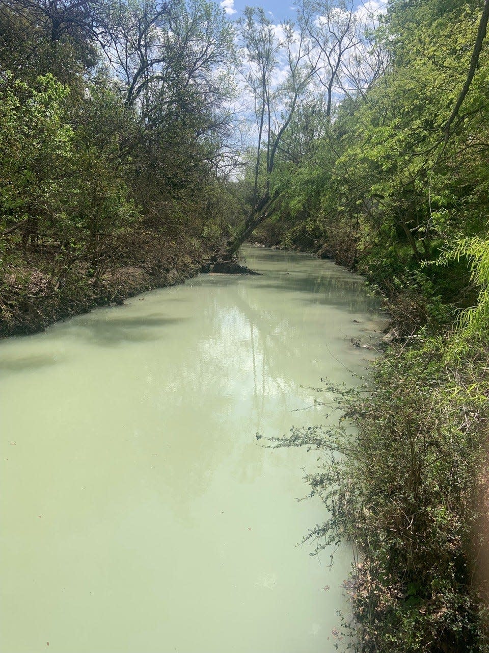 Shoal Creek turned green after a water main break clouded the waterway on Tuesday in Austin.