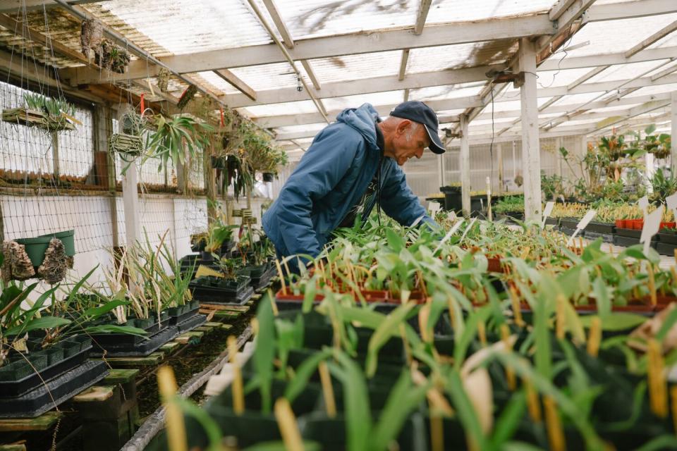 Paul Gripp spends time weeding