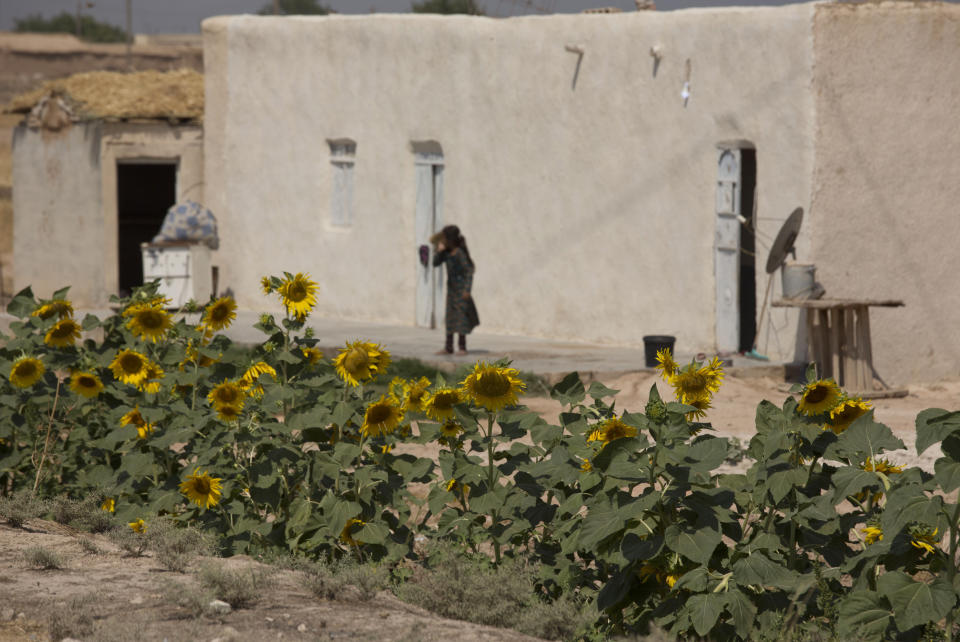 A girl watches a U.S. armored vehicles traveling in a joint patrol of the safe zone between Syria and the Turkish border with the Tal Abyad Military Council in Syria, Friday, Sept. 6, 2019. (AP Photo/Maya Alleruzzo)