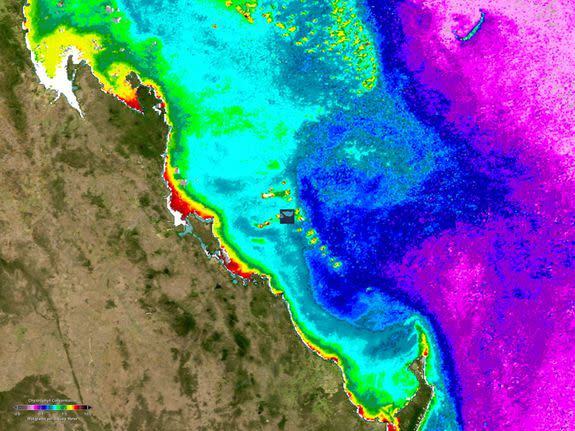 Coral bleaching, Great Barrier Reef, Australia, satellite image. Colours show chlorophyll concentrations in the waters around Heron Island (centre), ranging from pink (low) through blue, turquoise, green and yellow to red (high). Coral reefs, seen as the offshore areas of green and yellow (centre and upper centre) expel their chlorophyll-containing algae when sea temperatures rise.