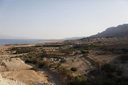 A general view shows the Ein Gedi Nature Reserve area, near the Dead Sea, Israel October 1, 2017. REUTERS/Ronen Zvulun