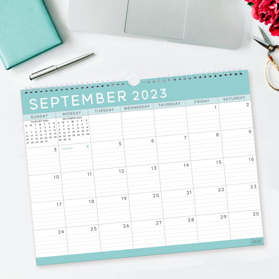 S&O-Basic-Teal-Business-Wall-Calendar-from-Jan-2023-Jun-2024-Digital-Detox-Amazon