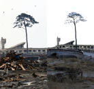 This combination of pictures shows a 10-metre high pine tree in Rikuzentakata, Iwate prefecture on March 29, 2011 (top) and the scene as it appears on January 15, 2012 (bottom). It is the only tree to have survived the tsunami among some 70,000 trees located by the seashore to protect from salt, sand and wind damage. March 11, 2012 will mark the first anniversary of the massive tsunami that pummelled Japan, claiming more than 19,000 lives. AFP PHOTO / TOSHIFUMI KITAMURA (top) AFP PHOTO / TORU YAMANAKA (bottom)