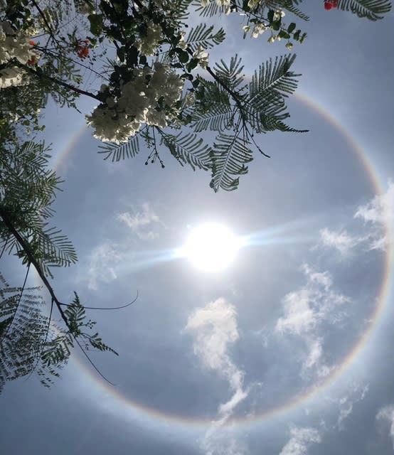 Did you see the halo around the sun today? How does it form and what does  it mean?