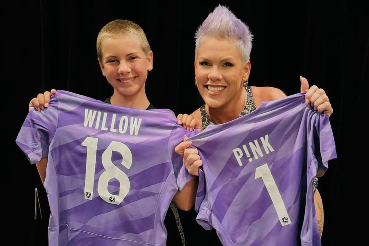 P!nk Summer Carnival tour: Pop star told daughter Willow she would quite  for family