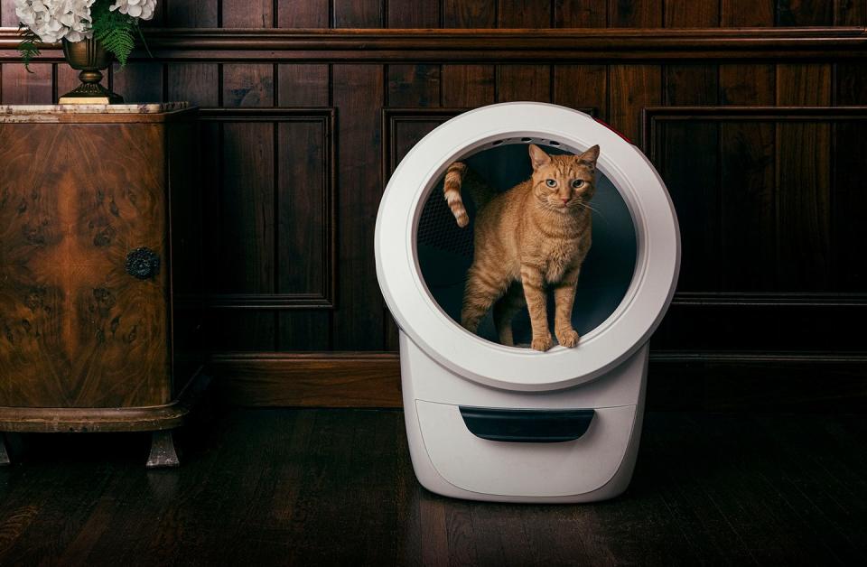 Photo credit: Litter Robot