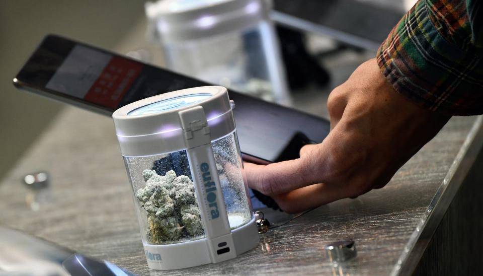 Marijuana sales − and tax revenues − have dropped in Colorado and Washington. <a href="https://www.gettyimages.com/detail/news-photo/marijuana-is-displayed-for-sale-in-a-euflora-cannabis-news-photo/1240118626" rel="nofollow noopener" target="_blank" data-ylk="slk:Patrick T. Fallon/AFP via Getty Images;elm:context_link;itc:0;sec:content-canvas" class="link ">Patrick T. Fallon/AFP via Getty Images</a>