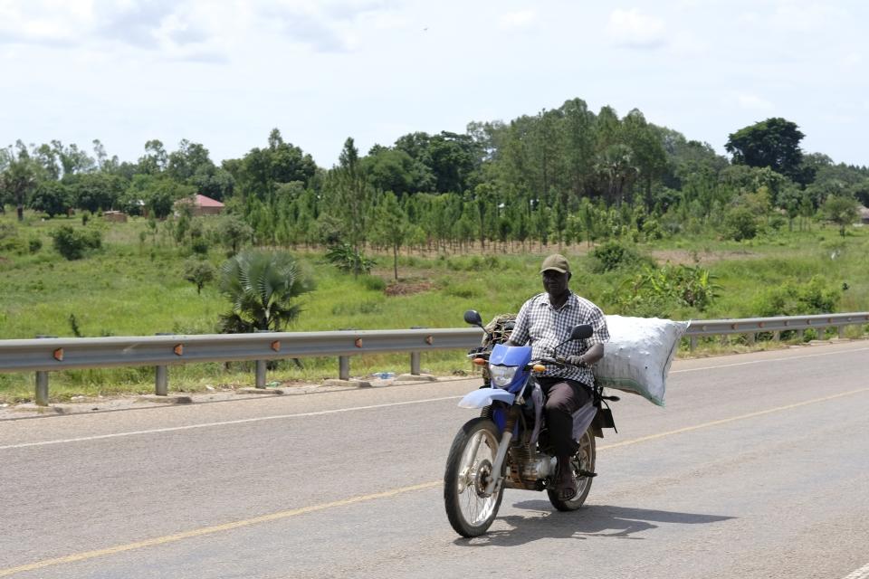 A man ferries a sack of charcoal along a road in Gulu, Uganda on May 28, 2023. Uganda's population explosion has heightened the need for cheap plant-based energy sources, especially charcoal. (AP Photo/Hajarah Nalwadda)