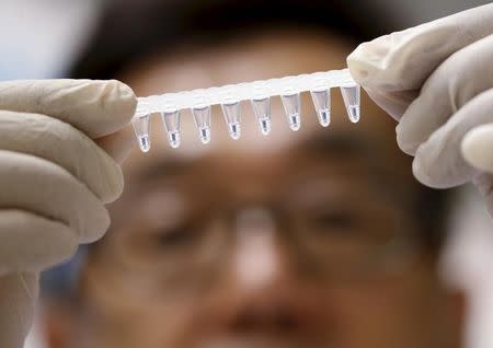 Group Leader, Dr Masafumi Inoue of Agency for Science Technology and Research's (A*STAR) Experimental Therapeutics Centre shows a sample to be tested with the Zika virus diagnostic test kit at their laboratory in Singapore, February 10, 2016. REUTERS/Edgar Su
