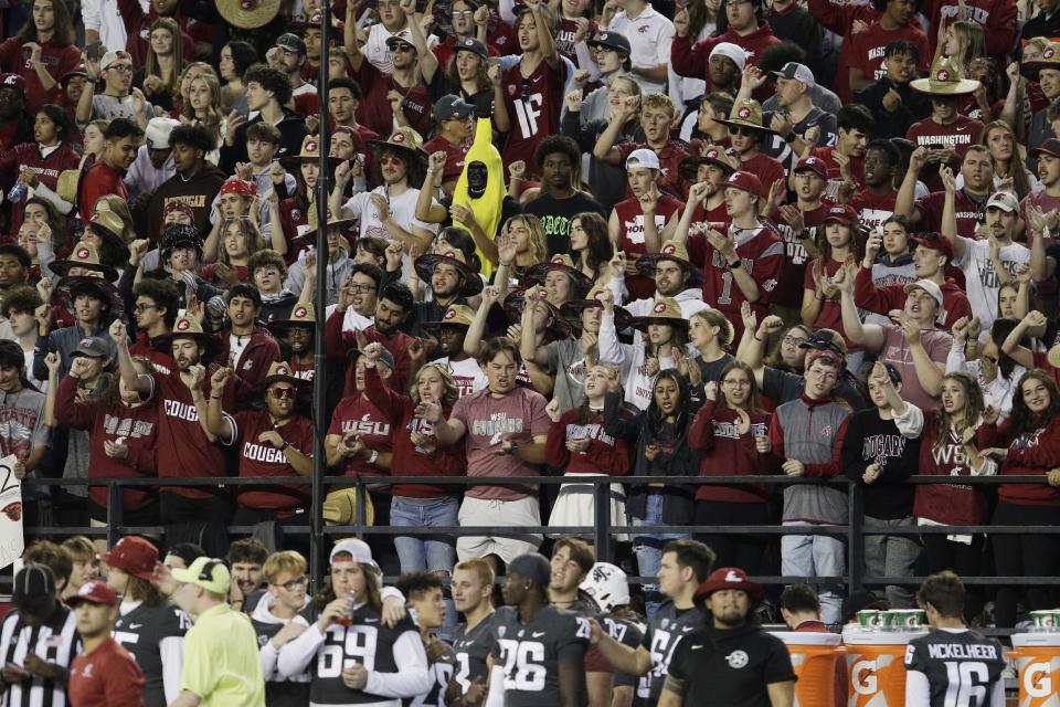 Washington State fans watch the second half of an NCAA college football game against Oregon State, Saturday, Sept. 23, 2023, in Pullman, Wash. | Young Kwak, AP