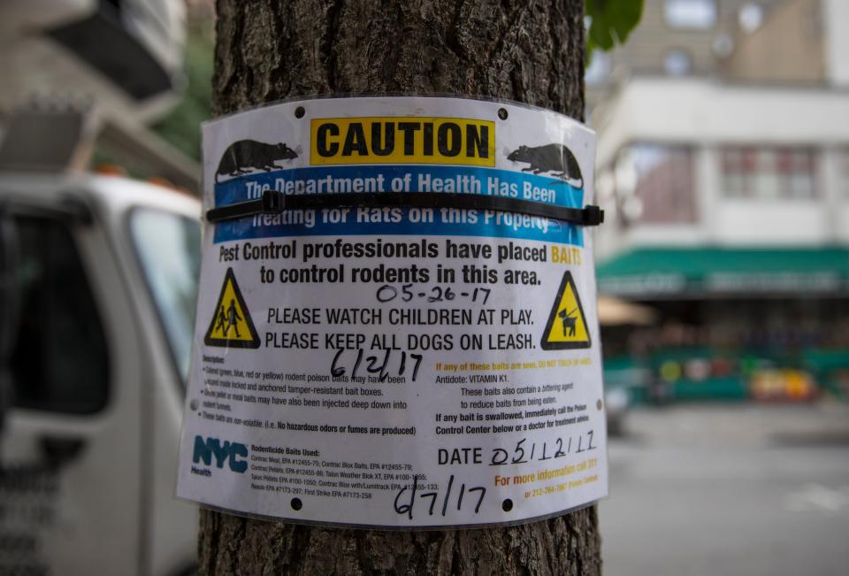 A sign affixed to a tree reads "Caution" and shows an image of a rat.