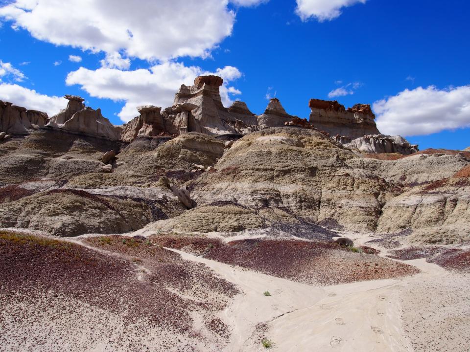 The Bisti/De-Na-Zin Wilderness Area south of Farmington, a longtime favored destination of dinosaur fossil hunters, could become the subject of a new permanent exhibition at the Farmington Museum at Gateway Park.