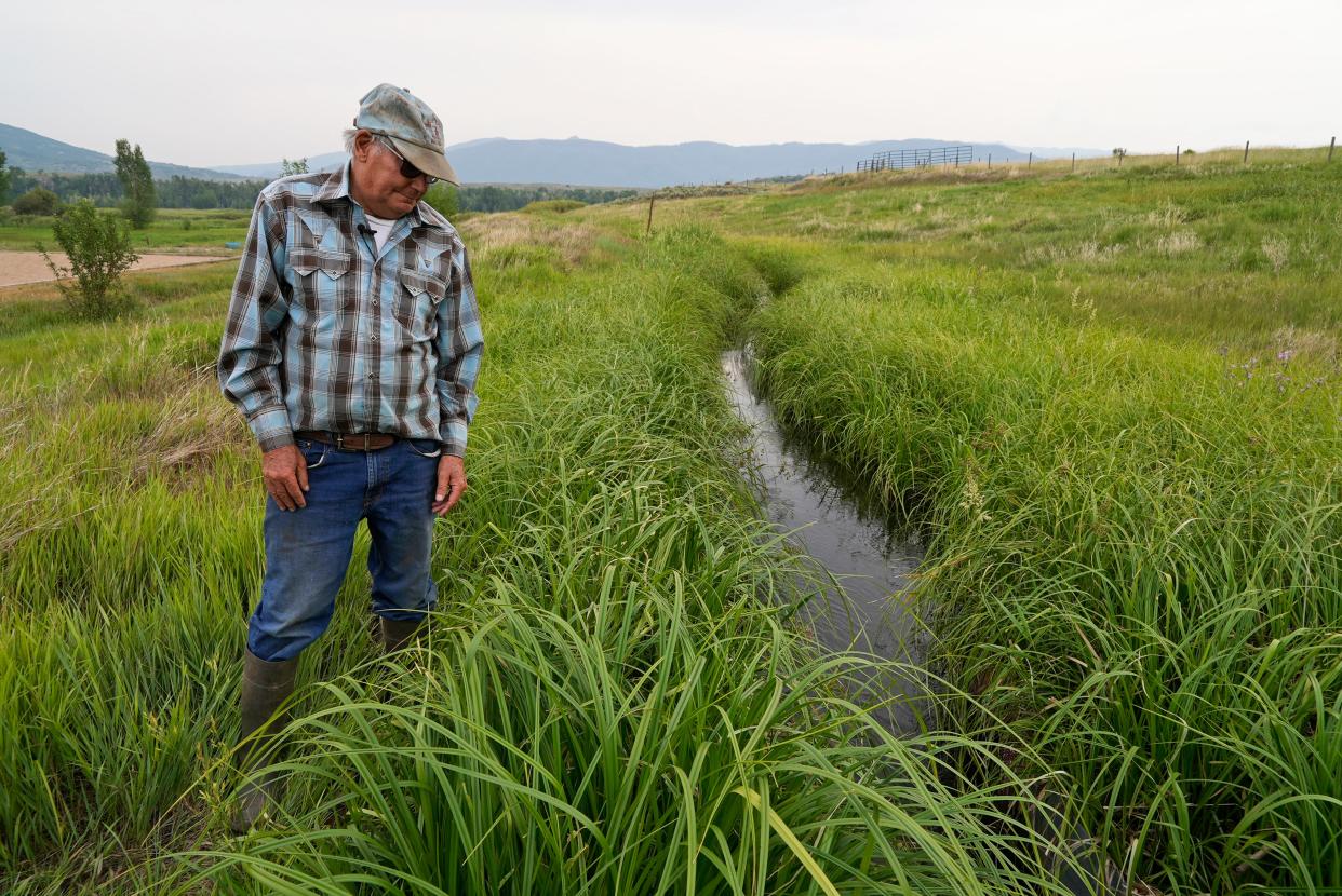 Ranchers Drought (Copyright 2021 The Associated Press. All rights reserved.)