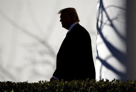 U.S. President Donald Trump walks through the Colonnade to the Oval Office after returning to the White House in Washington, U.S., January 26, 2017. REUTERS/Joshua Roberts