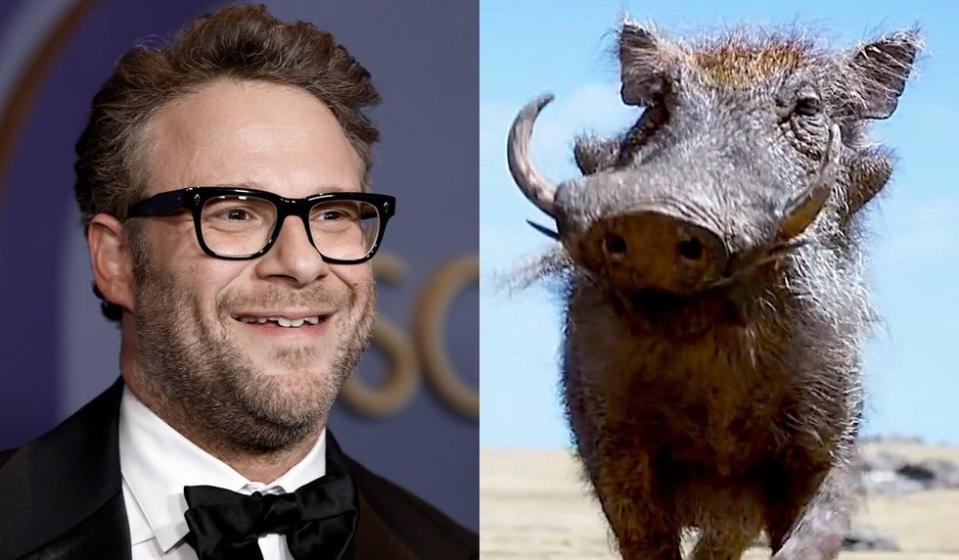 Seth Rogen as Pumbaa  Frazer Harrison/Getty Images; Walt Disney Studios