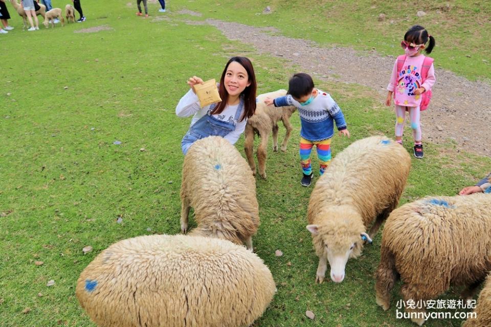 南投｜清境農場