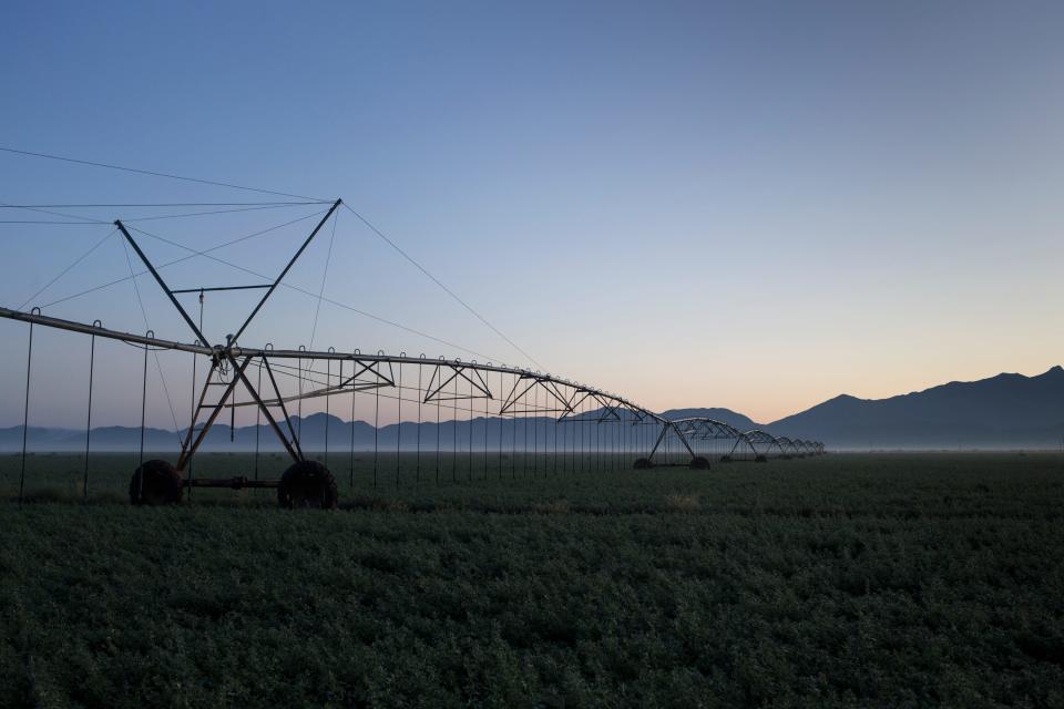 A center-pivot irrigation system in an alfalfa field near Willcox. Many rural areas rely solely on dwindling groundwater.