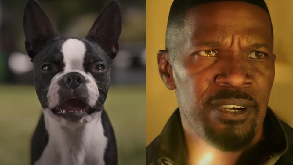 Bug in Strays; Jamie Foxx in Spider-Man: No Way Home