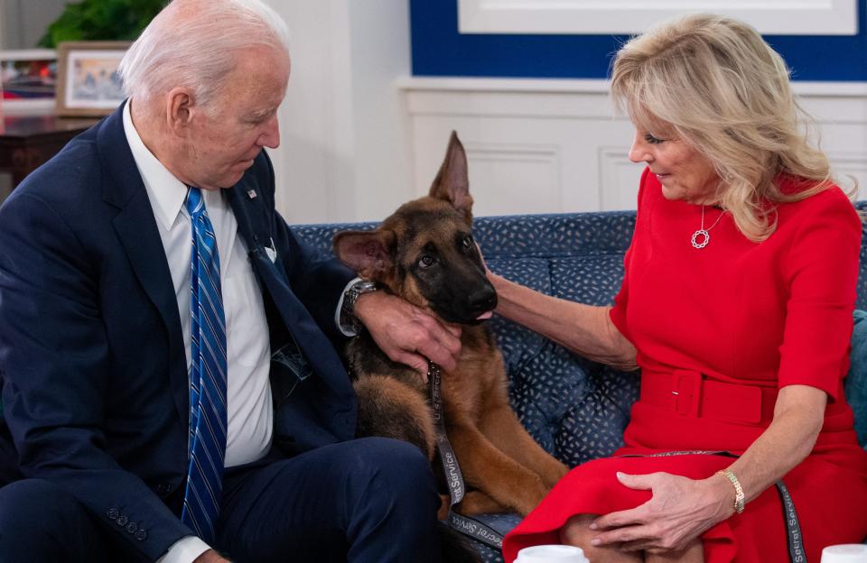 Joe Biden and Jill Biden pet their new dog Commander