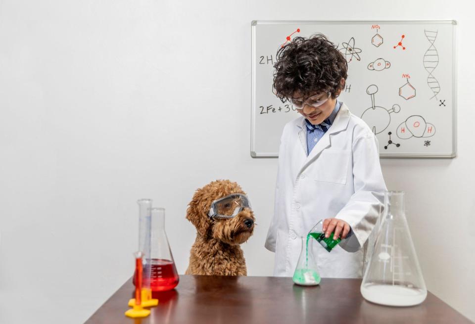 Niño haciendo experimentos con un perro. 