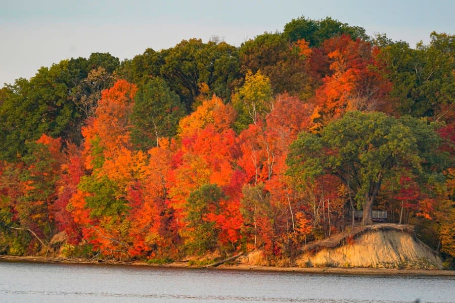 Fall foliage lines the bank of the reservoir in Eagle Creek Park in Indianapolis, Tuesday, Oct. 11, 2022. (AP Photo/Michael Conroy)