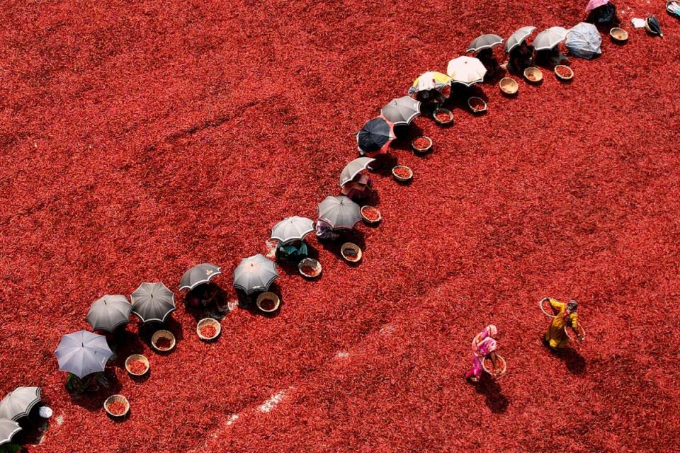 ’Red Pepper Picking’ is in the ‘Place’ category (Subrata Dey)