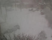 @chaser19: The view of my street in Thornhill from the upstairs window. #TOsnowpics pic.twitter.com/IP4FXHZA