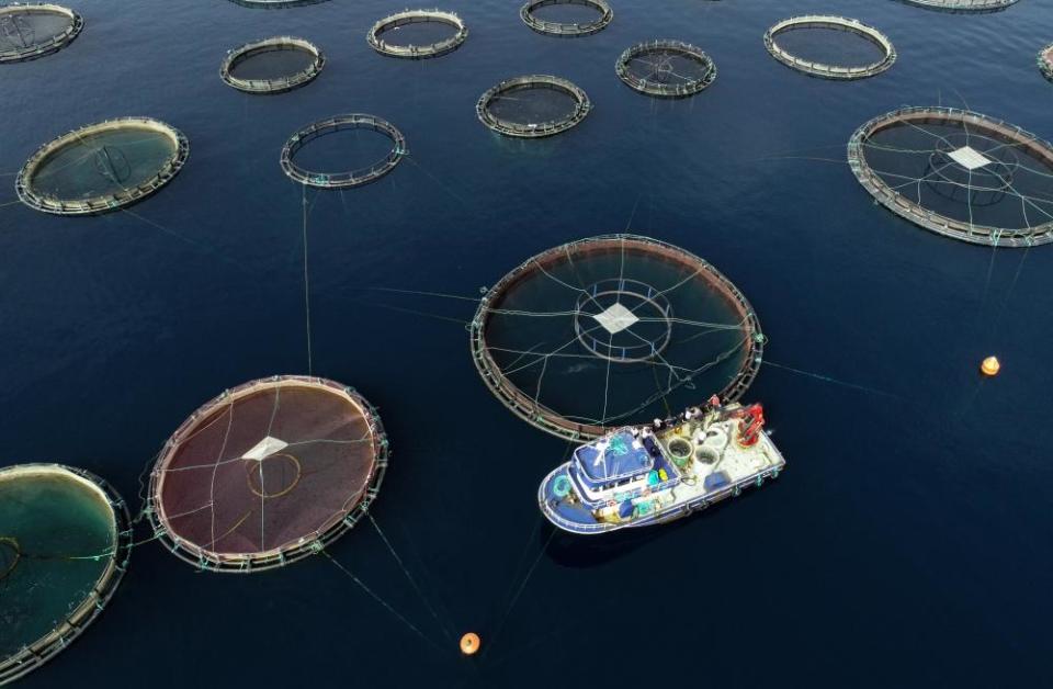 A fish farm in Izmir, Turkey.