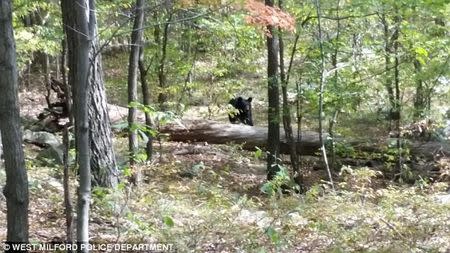 A photo taken by Darsh Patel of a black bear moving toward him, shortly before he was mauled to death in a heavily wooded area in northern New Jersey, September 2014. REUTERS/West Milford Police Department
