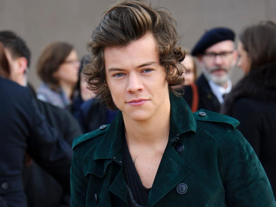 Harry Styles in February 2014.