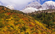 <p>While the evergreen hills of the western United States don't make for amazing leaf peeping, Montana still puts on a memorable fall show. Hop on the park’s famous <a rel="nofollow noopener" href="https://www.nps.gov/glac/planyourvisit/goingtothesunroad.htm" target="_blank" data-ylk="slk:Going-to- the-Sun road;elm:context_link;itc:0;sec:content-canvas" class="link ">Going-to- the-Sun road</a> as it winds for 50 miles through the parkland, from St. Mary to West Glacier, crossing the Continental Divide at Logan Pass. For a slightly longer road, hit Highway 83, which stretches from Seeley Lake to Swan Lake. The road offers plenty of vistas to view the valleys covered in red, gold, and orange, and watching the animals preparing for winter.</p>