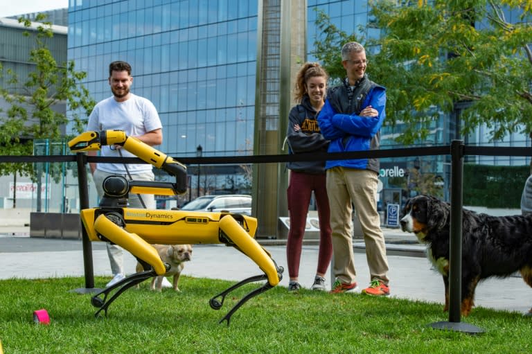 Boston Dynamics robot dogs in Boston in 2021 (AFP/Joseph Prezioso)