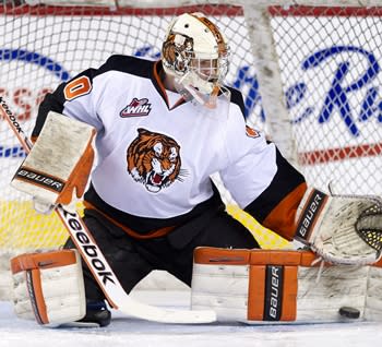 Medicine Hat goalkeeper Marek Langhamer is one of three 19-year-old goalies looking for playing time. (CP / Larry MacDougal)